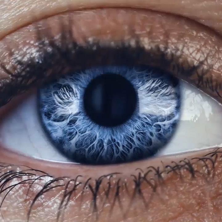 Detalhe macro de íris azul — precisão Zeiss